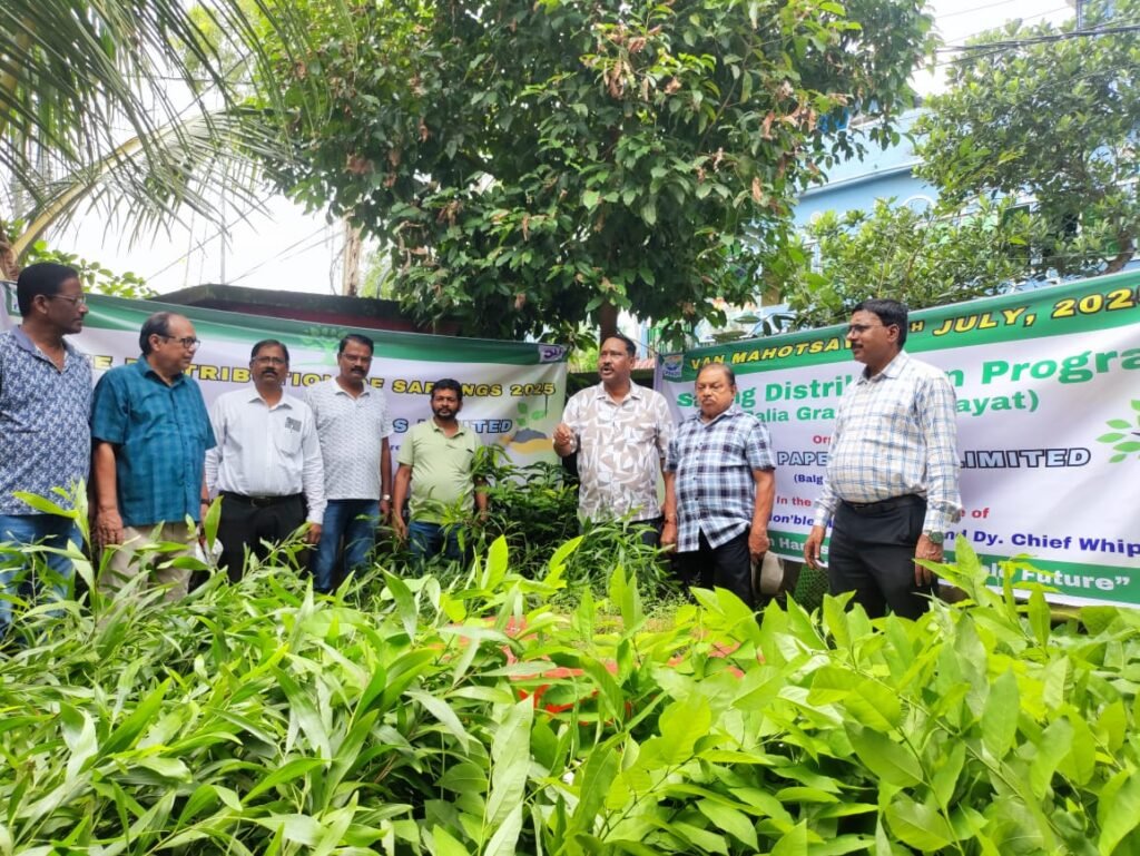 Sustainable Environment